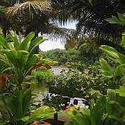Picture 020